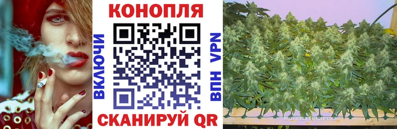 Бошки марихуана гибрид  Купить закладки  Боровск 